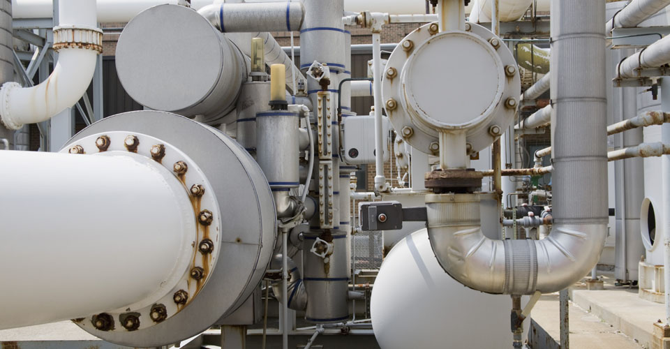 Generic customer picture